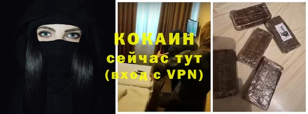 индика Аркадак