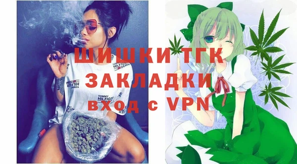 индика Аркадак