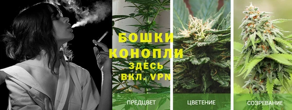гидропоника Арсеньев