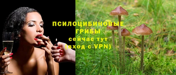 гашик Баксан
