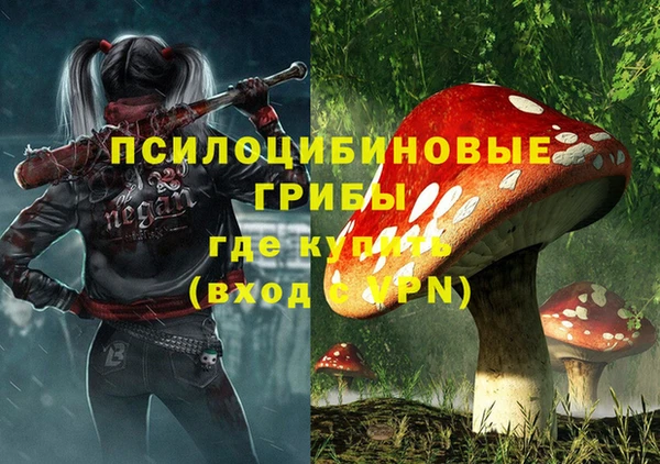 гашик Баксан