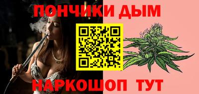 шишки Аргун