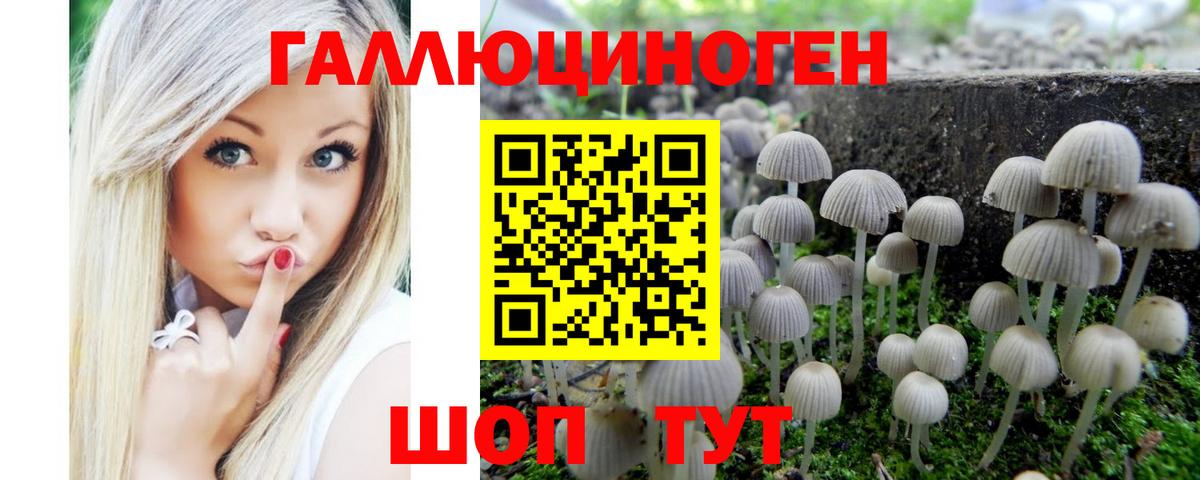 Галлюциногенные грибы Psilocybe  Джанкой 